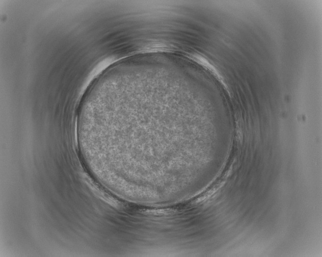 X0000075361227200609291453