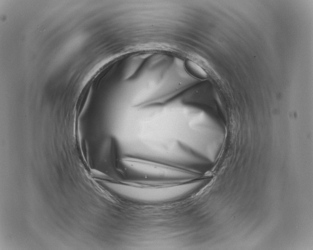 X0000075361228200609291453