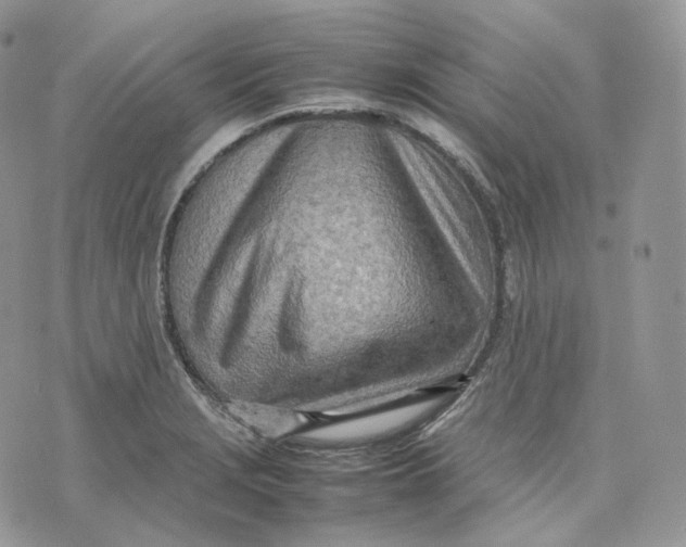 X0000075361229200609291453