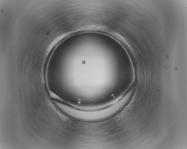 X0000075361230200609291453