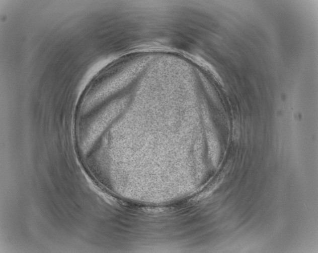 X0000075361231200609291453