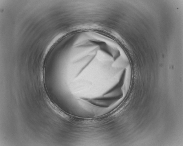 X0000075361232200609291453