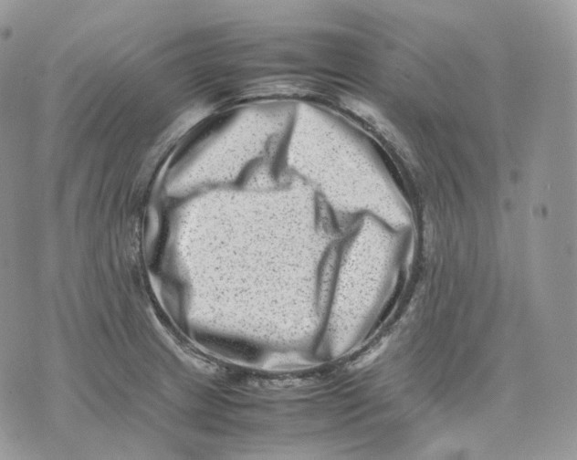 X0000075361233200609291453