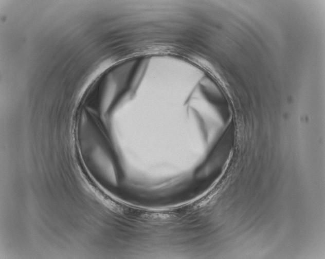 X0000075361235200609291453