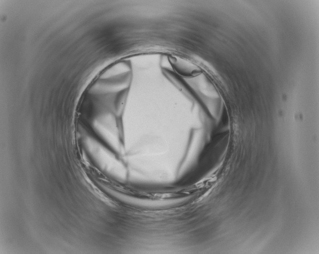 X0000075361236200609291453