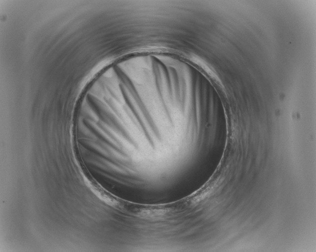 X0000075361237200609291453