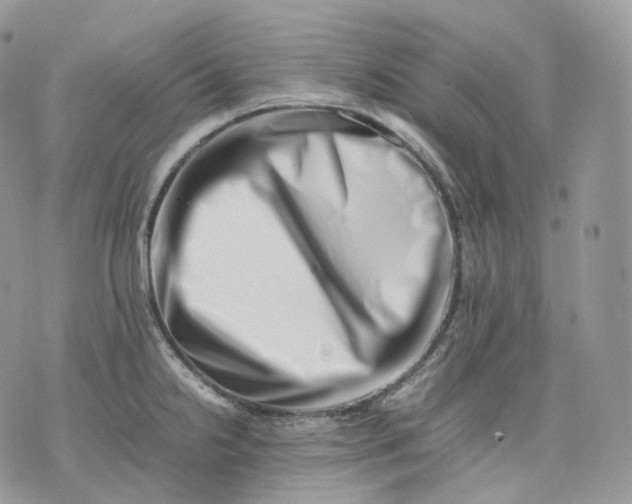 X0000075361238200609291453