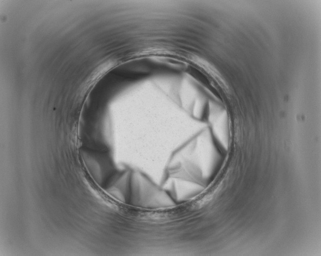 X0000075361241200609291453