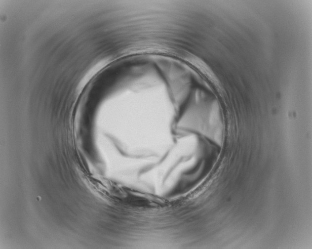 X0000075361242200609291453