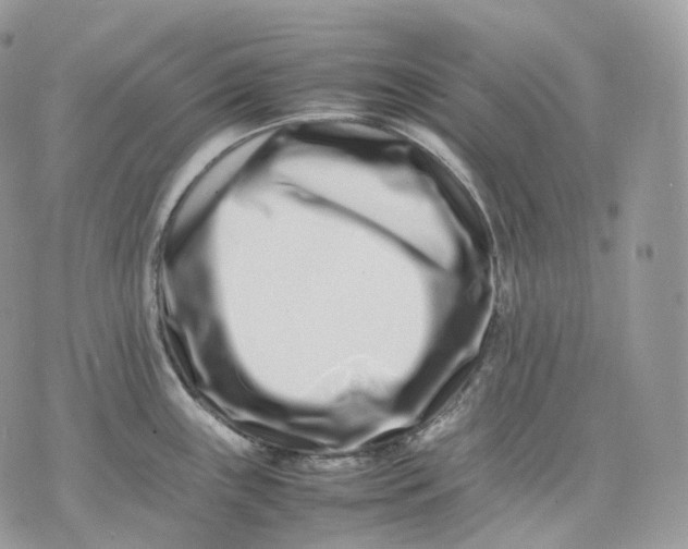 X0000075361243200609291453