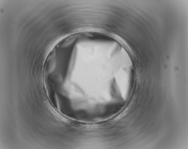 X0000075361244200609291453