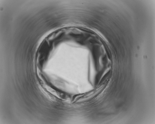 X0000075361246200609291453