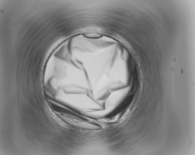 X0000075361248200609291453