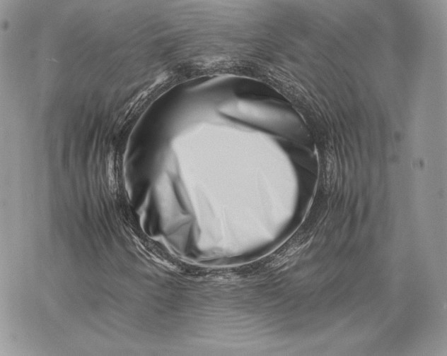 X0000075361250200609291452