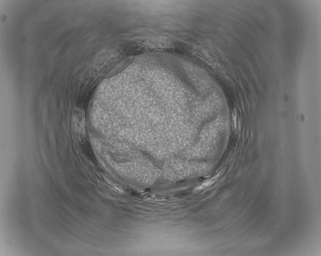 X0000075361251200609291452