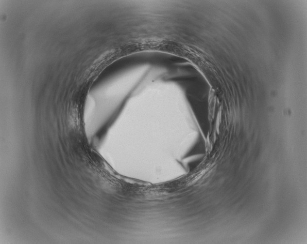 X0000075361252200609291452