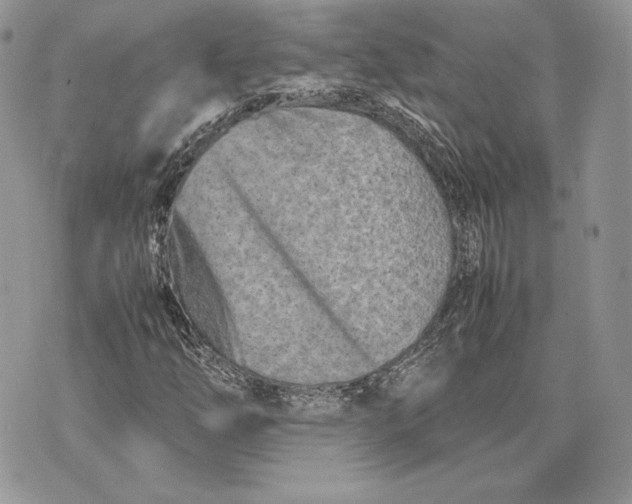 X0000075361254200609291452