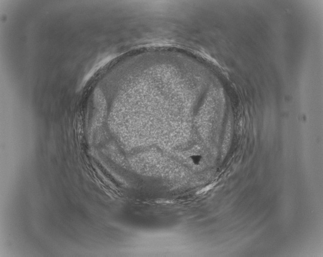 X0000075361255200609291452