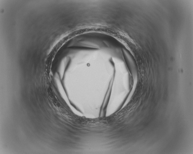 X0000075361256200609291452