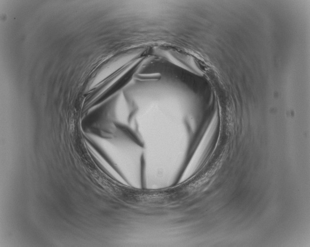 X0000075361257200609291452