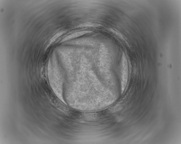 X0000075361258200609291452