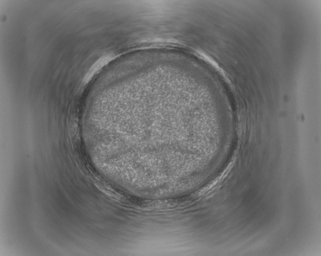 X0000075361259200609291452