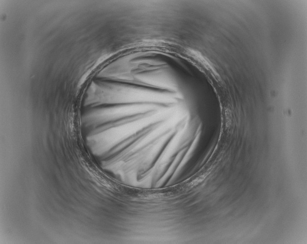 X0000075361260200609291452