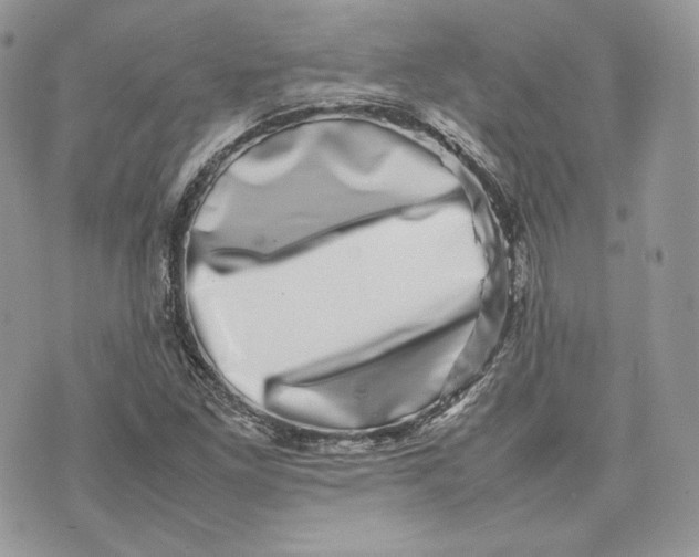 X0000075361261200609291452