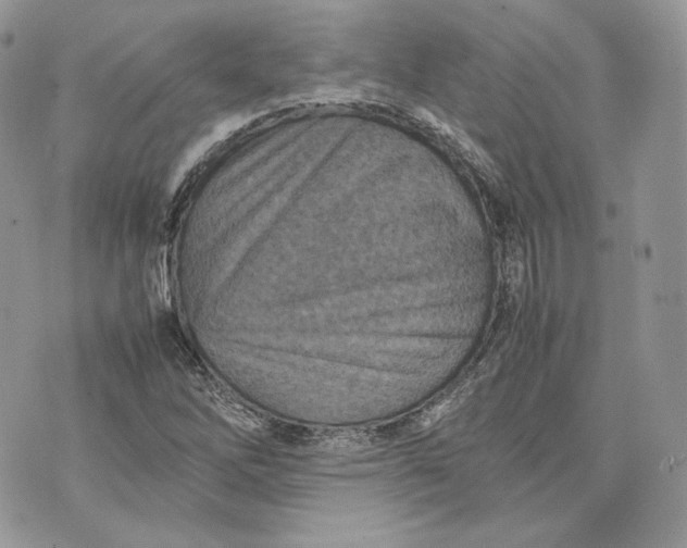 X0000075361262200609291452