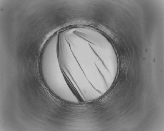 X0000075361264200609291452