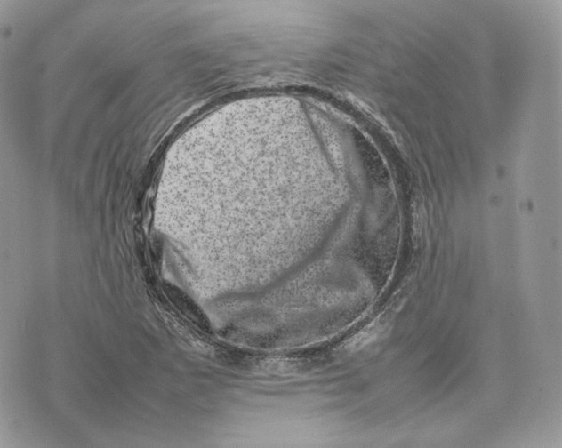 X0000075361265200609291452