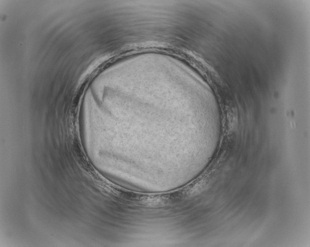 X0000075361266200609291452