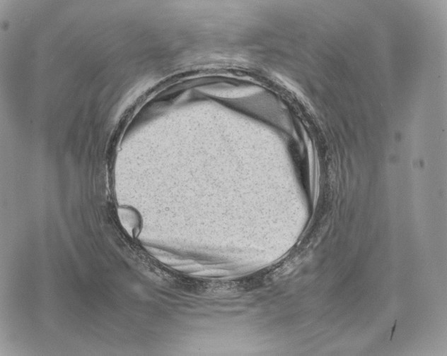 X0000075361267200609291452