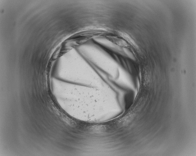 X0000075361268200609291452