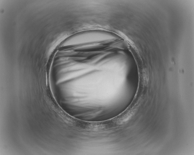 X0000075361269200609291452