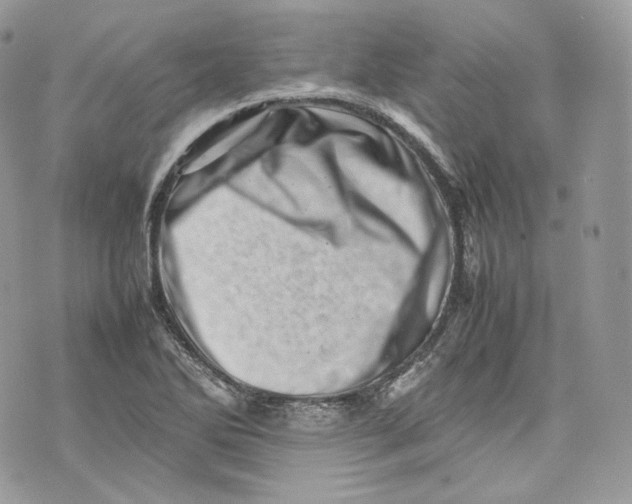 X0000075361270200609291452