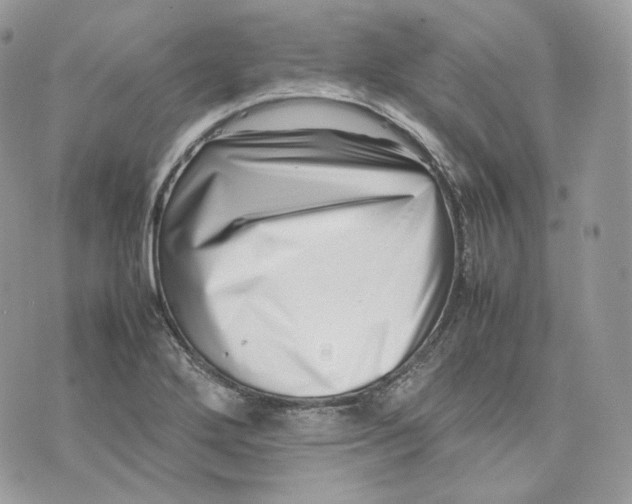 X0000075361272200609291452