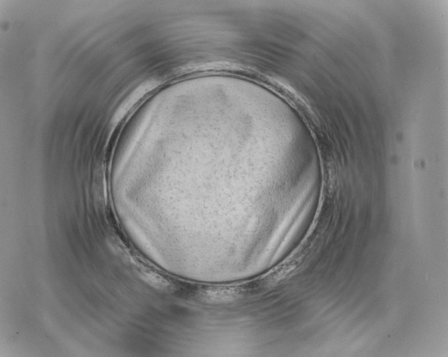 X0000075361274200609291452