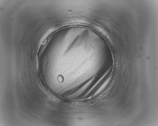 X0000075361275200609291452