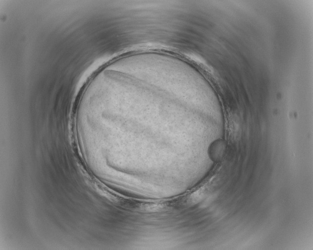 X0000075361278200609291452