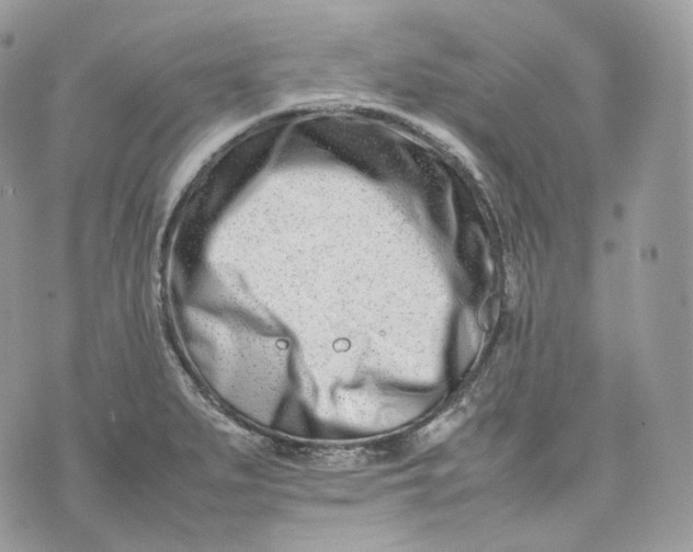 X0000075361279200609291452