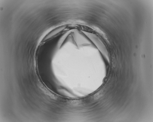 X0000075361280200609291452