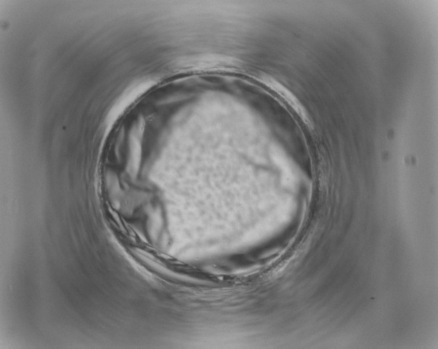 X0000075361285200609291452