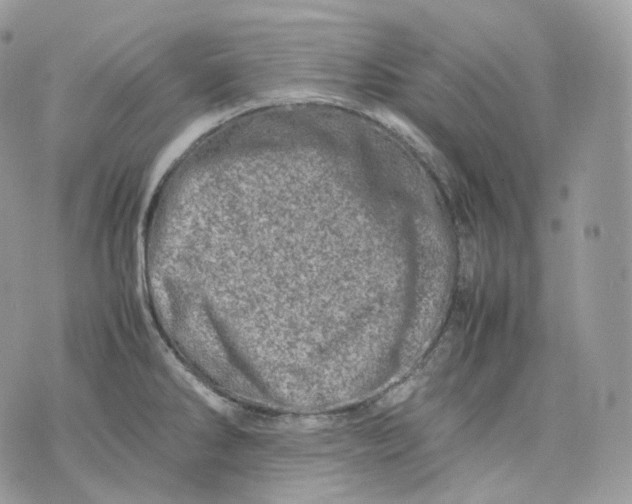 X0000075361286200609291451