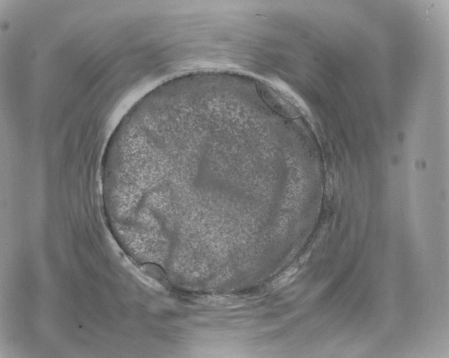 X0000075361287200609291451