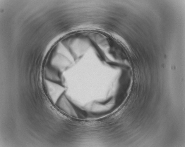 X0000075361288200609291451