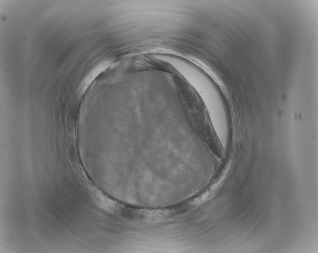 X0000075361289200609291451