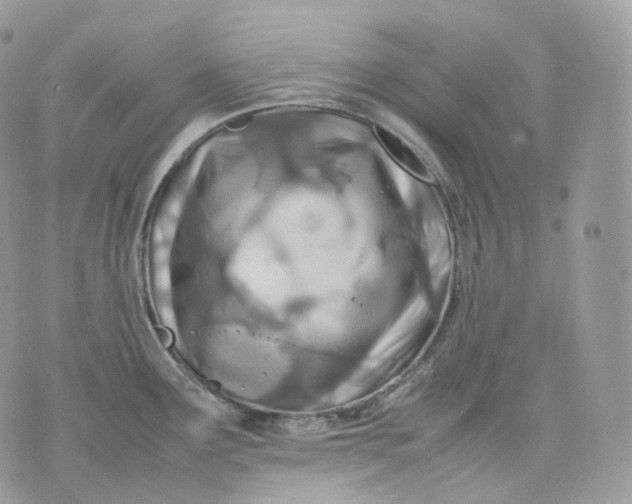 X0000075361291200609291451