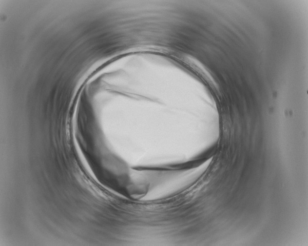 X0000075361292200609291451