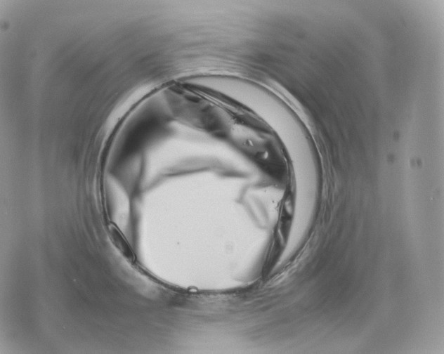 X0000075361293200609291451